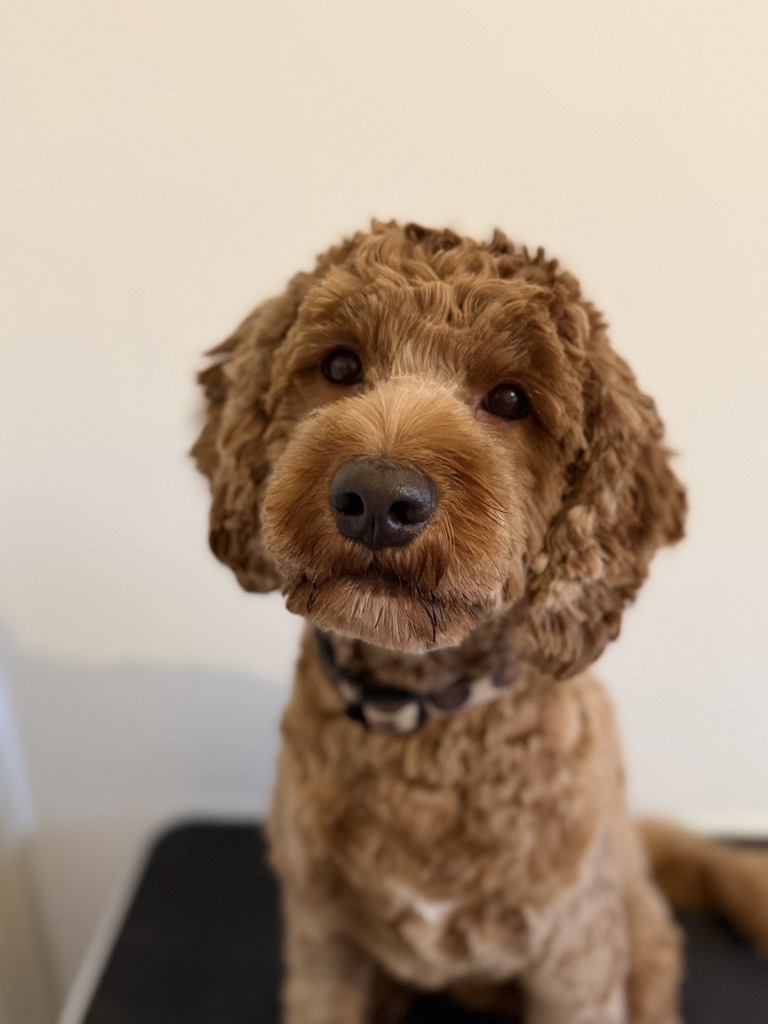 0a717716 7a3e 4f91 bf6a d1c4b2b181b7 1 105 c