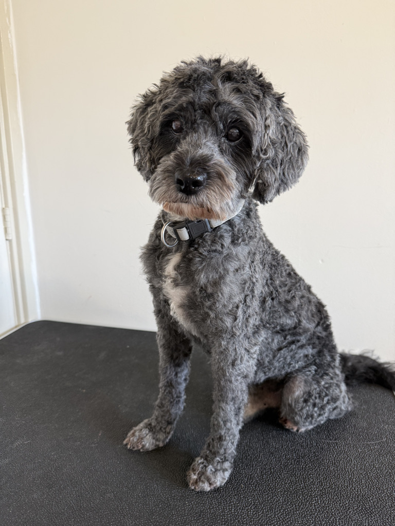 356df7e8 e811 4345 b943 2856fce292c6 1 105 c