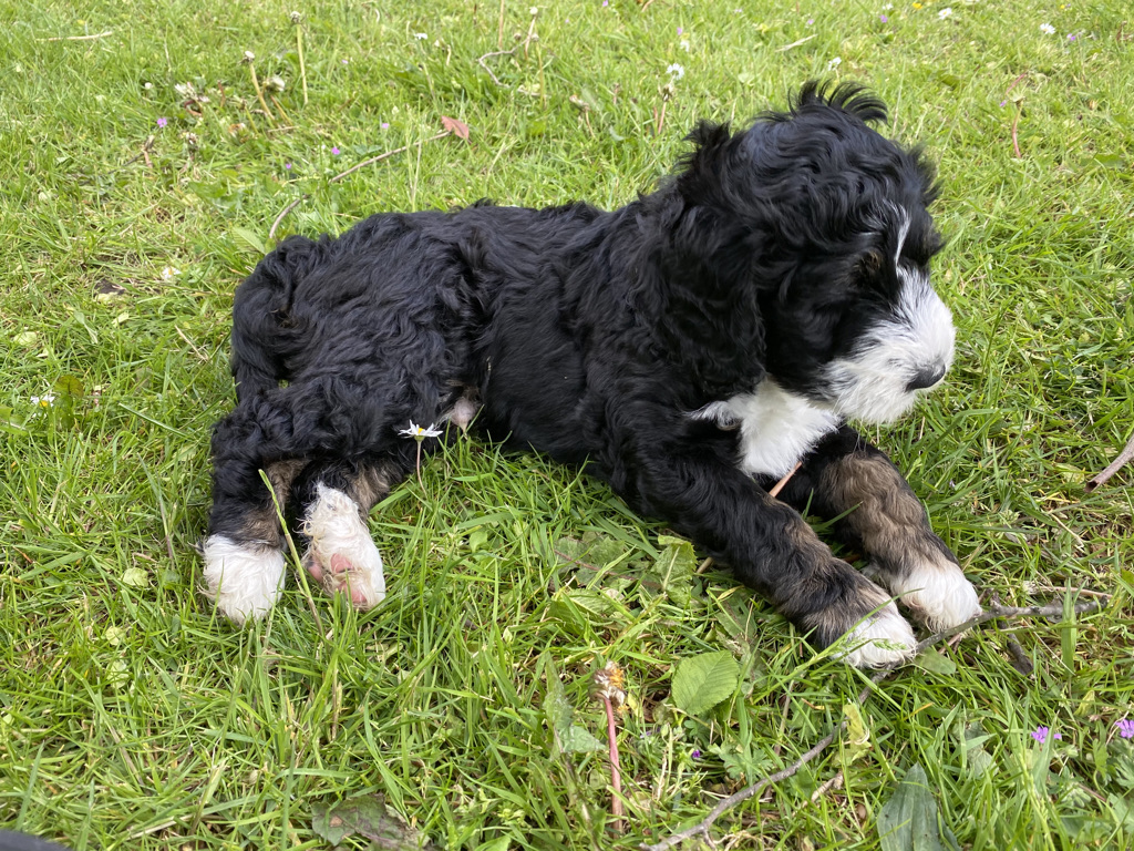 4d766fb2 334a 4458 99eb f910aad903f4 1 105 c