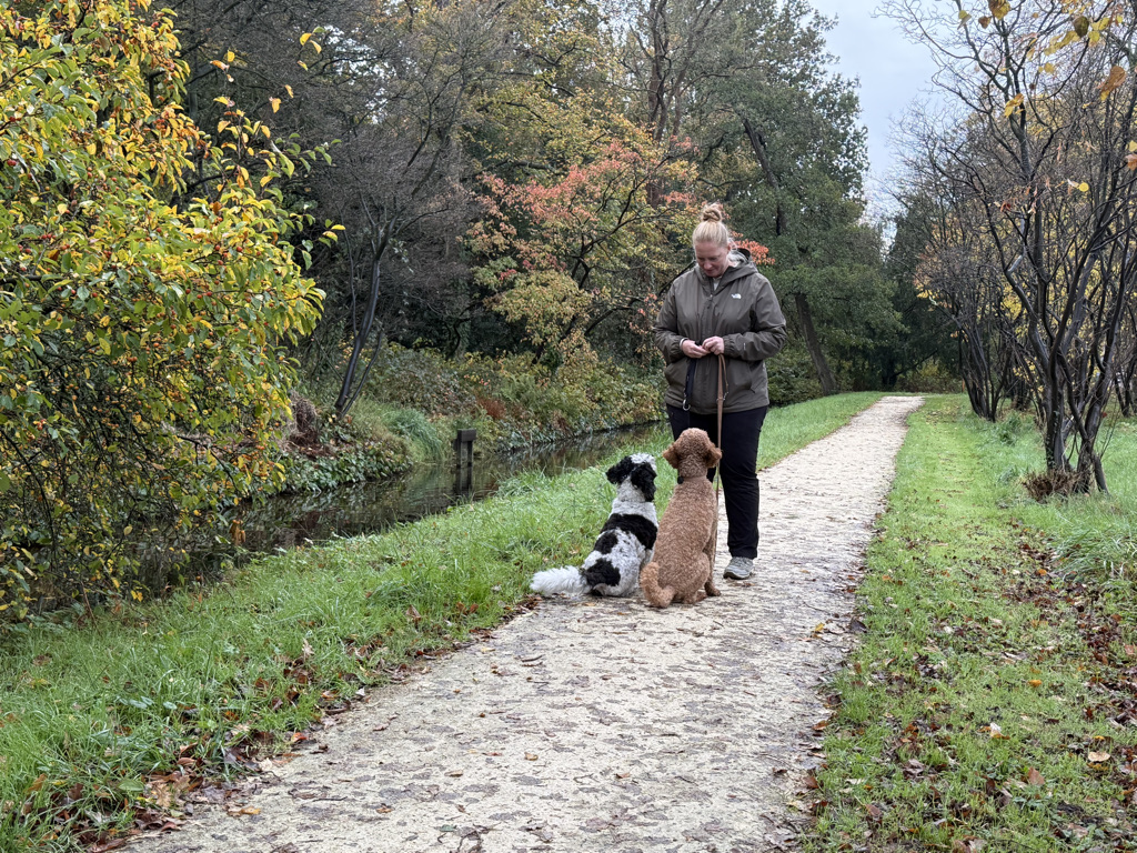 4fa77dae 1ae8 4542 8580 35cb3087b72d 1 105 c