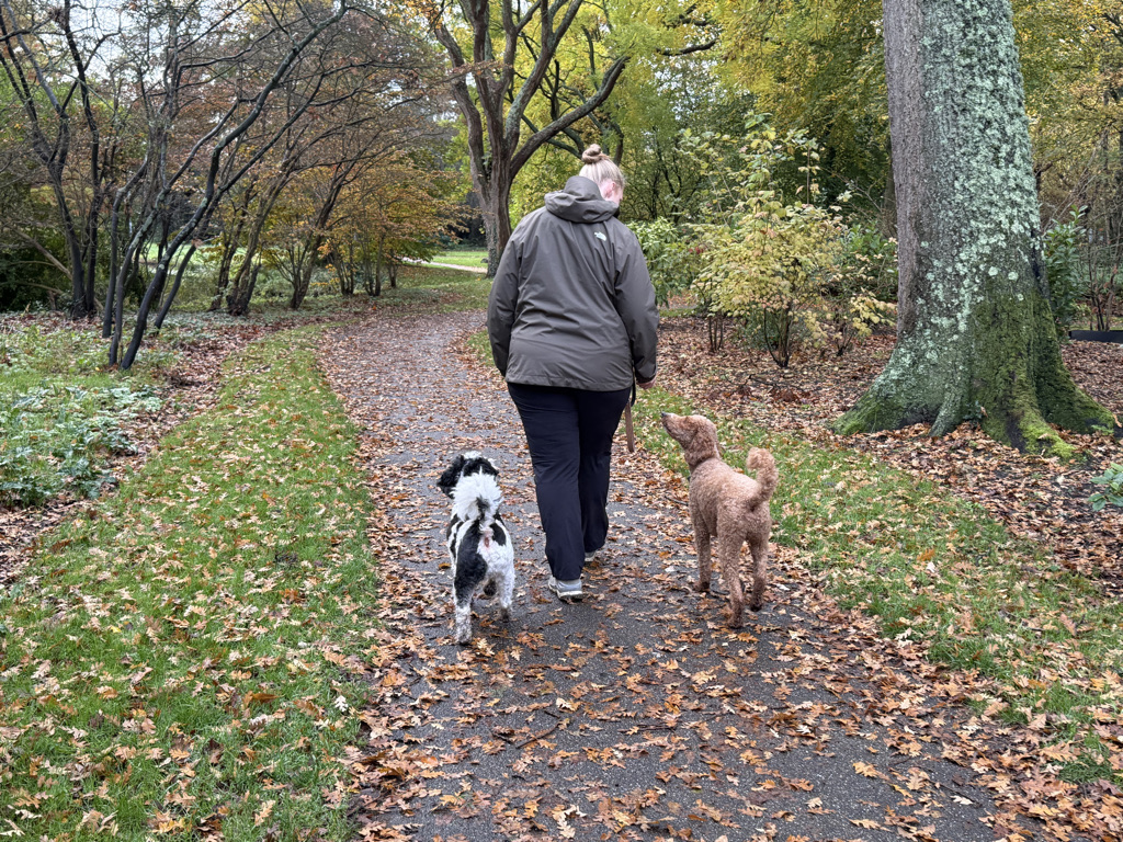 4faa05bc 6b5a 419a 8a0d d2b135bc7777 1 105 c