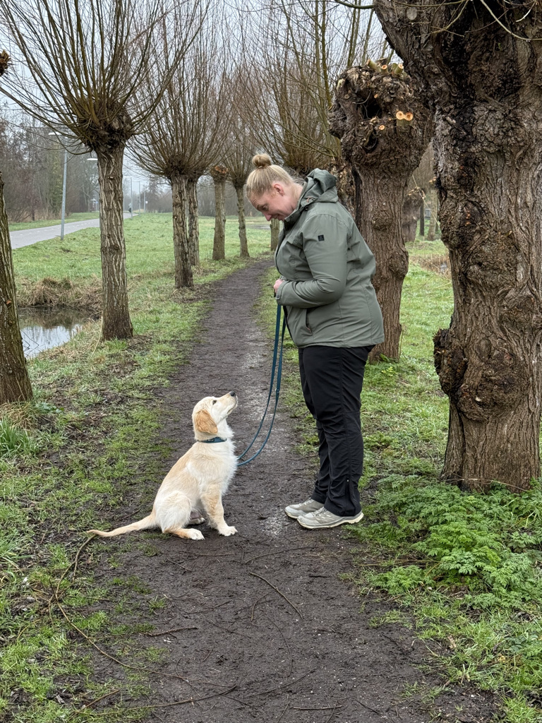 7e67c2ff 5d32 47bf 8cde 5ce96ce2fc24 1 105 c