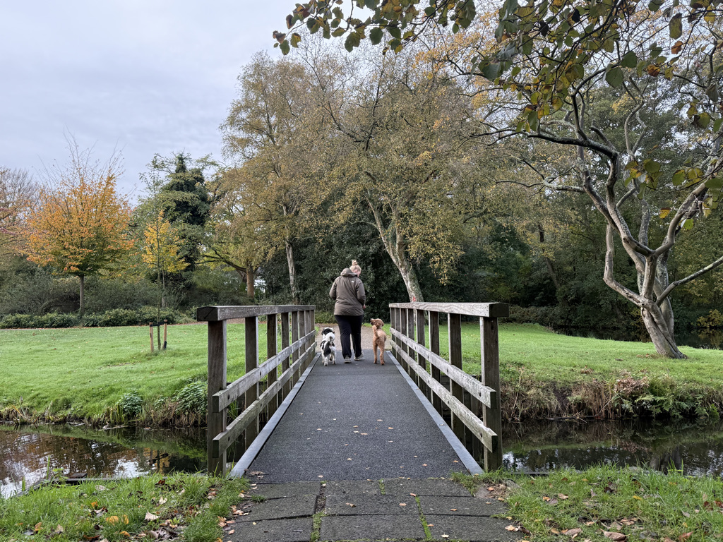 9a51facd bbc9 488c 9140 a3600a036be5 1 105 c