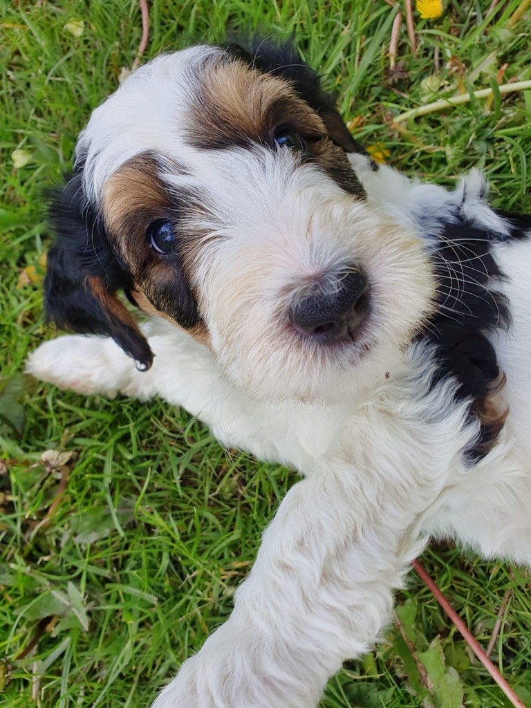 a5149673 cc06 4f74 bc18 90dc1777fd39 1 105 c