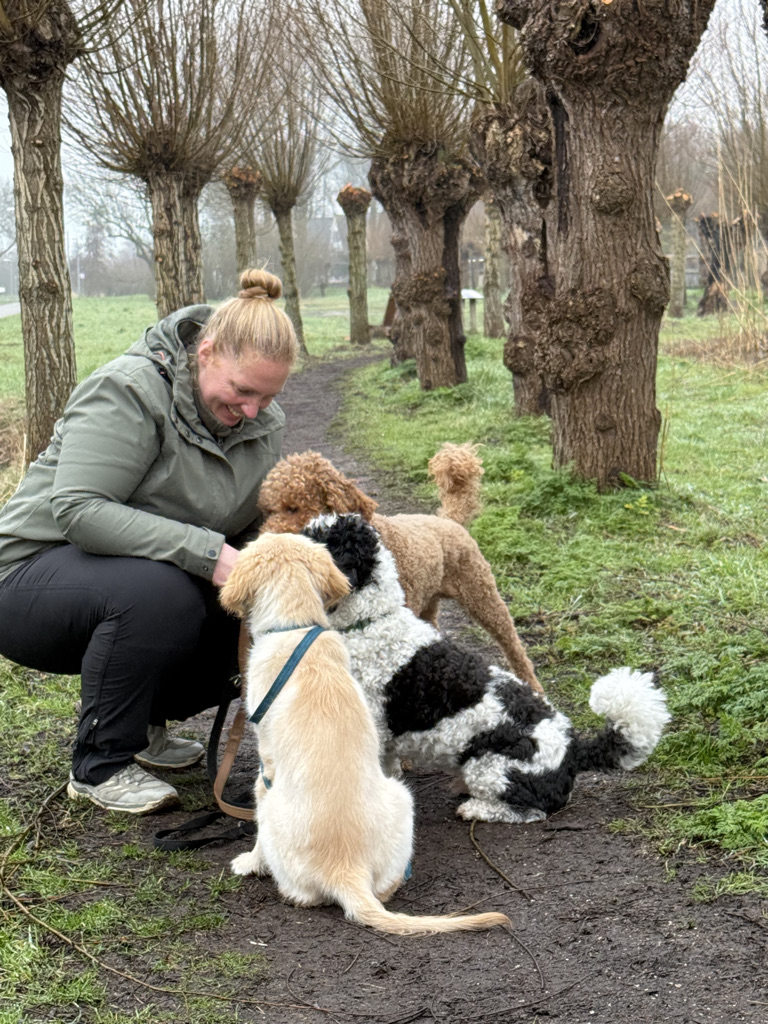 a73112f2 26be 4b4e 98b9 41e25816a38c 1 105 c