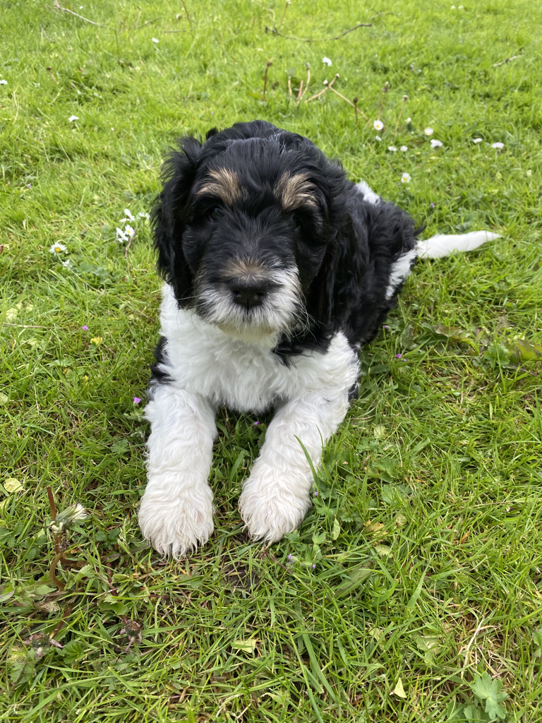 b8193496 d436 4dc6 b4fa ad0e72cb826d 1 105 c