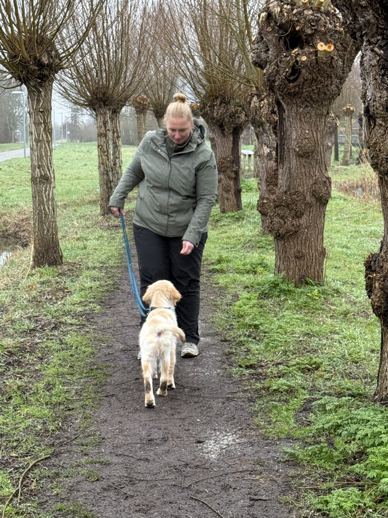 cbb9eeca 3519 480c 845b 435817120b6e 1 105 c