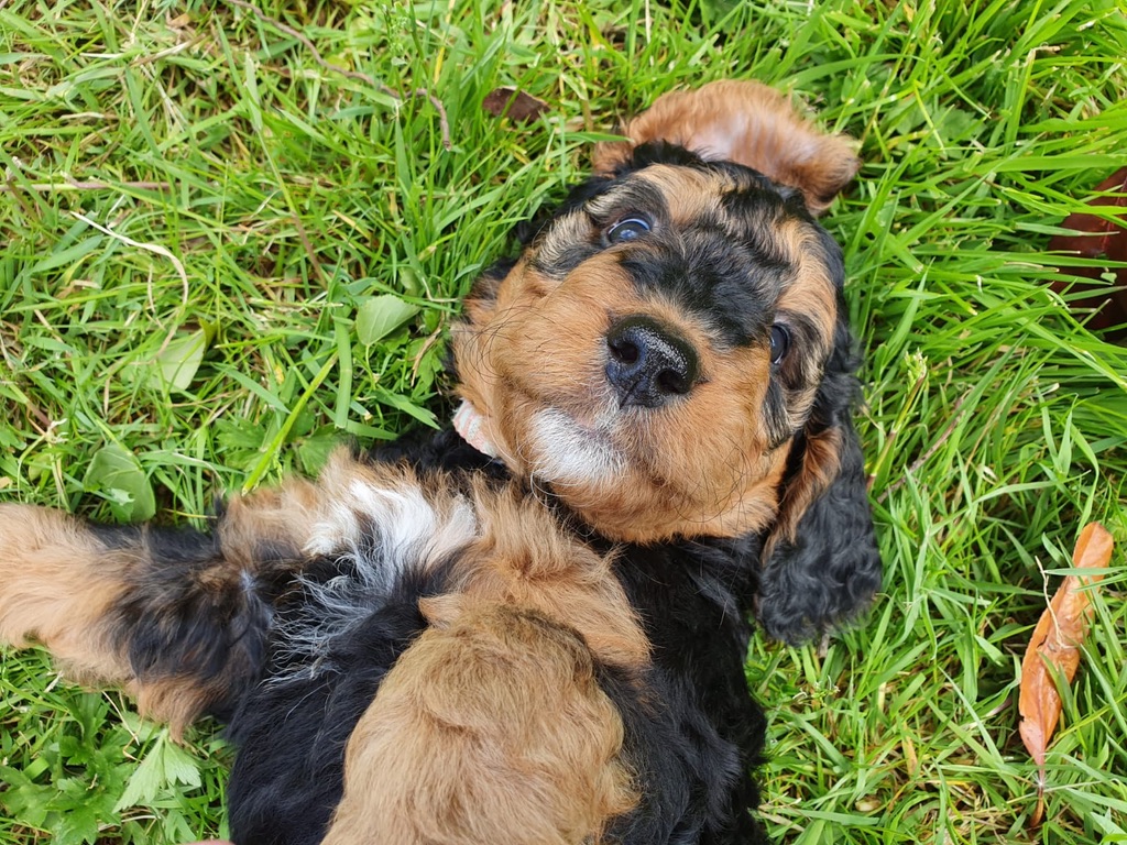 e19f665b 454b 463f a657 58b867bb70e5 1 105 c